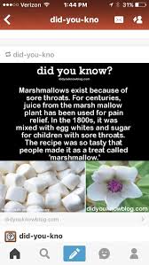 Pin By Saurm Mughal On Did You Know Wtf Fun Facts Fun Facts Wow Facts