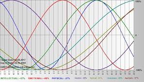 biorhythm calculator net me compatibility chart