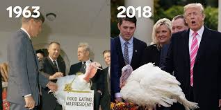 Weight of average turkey / time chart • how to cook a turkey breast • loaves and dishes. Thanksgiving Turkeys Have Doubled In Size Since The 1950s