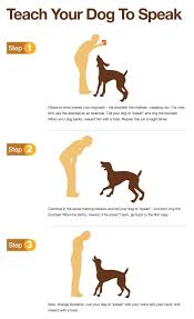 Need To Train Your Dog Check Out This Great Dog Training Site Dogtraining Cxq26 Dog Training Near Me Puppy Training Dog Care