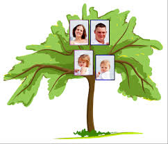 Maybe you would like to learn more about one of these? Family Tree For Kids Familytreeforkids