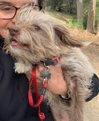 Mrs. romp in Fredericksburg Texas