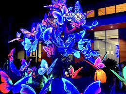 Glowfari Winter Getaway To Illuminating Lantern Festival At Oakland Zoo Me The Explorer