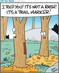 Pin By Betty Shivers On Funny Hiking Funny Hiking Comics Memes Teacher Comics