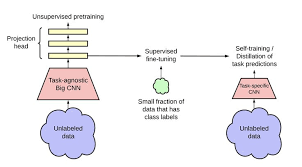 Big Self Supervised Models Are Strong Semi Supervised Learners Supervised Learning Class Labels Google Brain