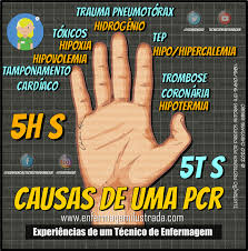 O alerta foi dado aos bombeiros voluntários madeirenses. Parada Cardiorrespiratoria Os 5h S E 5t S Das Possiveis Causas Enfermagem Ilustrada