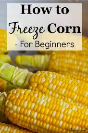 How To Freeze Corn For Beginners In 2020 Frozen Corn How To Cook Corn Steam Corn