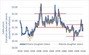The Cattle Crisis 100 Years Of Canadian Cattle Prices
