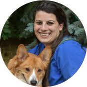 Veterinary Doctors in Arvada, CO