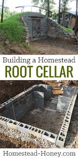Hillside root cellars work really well. Building A Homestead Root Cellar Homestead Honey