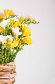 Uma das partes mais gostosas do casamento é decidir a paleta de cores, as flores e tudo que vai dar graça á decoração. Flores Amarelas Principais Especies Para Usar Na Decoracao