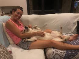 Image result for Emilia jeffreyana