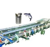 Sardine Fish Can Making Machine Sardine Filling Liquid Filling and Sealing Machine