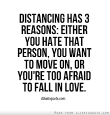 Quotes About Falling In Love Again 72 Quotes
