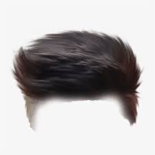 Boy Hair Png Download Shiva Editing Background Photoshop Hair Hair Clipart Hair Png