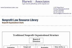 Non Profit Organizational Chart Template New Simplified