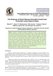 Missionaries also took the cavendish banana to the pacific and the canary islands. Pdf The Response Of Dwarf Banana Cavendish Growth And Production Under Natural Shade Muhidin Muhidin Academia Edu