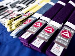 Much of what is brazilian jiu jitsu today is expanded and nuanced ground techniques bred from thousands of long time limit matches, one on one against resisting opponents, agreeing to the same rule system. Grading And The Belt System Gracie Barra Orlando