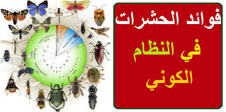 Check out our cricket insect selection for the very best in unique or custom, handmade pieces from our shops. Ø§Ù†ÙˆØ§Ø¹ Ø§Ù„Ø­Ø´Ø±Ø§Øª Ø§Ù„ØªÙŠ ØªÙ‡Ø§Ø¬Ù… Ø§Ù„Ù…Ù†Ø§Ø²Ù„ ÙˆØ·Ø±Ù‚ Ù…ÙƒØ§ÙØ­ØªÙ‡Ø§ Ø¨Ø§Ù„ØªÙØµÙŠÙ„