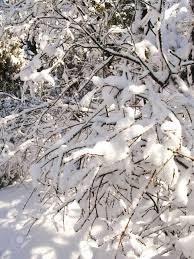 It is the capital and largest city of the autonomous community of catalonia, as well as the second most populous municipality of spain. Verschneite Wege Der Nahe Von Barcelona Von Dem Grossen Schnee Der Am Marz Nahm Lizenzfreie Fotos Bilder Und Stock Fotografie Image 13427578
