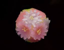 japanese sweets 二條若狭屋 都がさね 日本食のアート 和食のデザート 日本のキャンディ