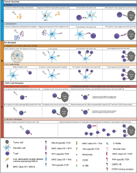 We did not find results for: Frontiers Cellular Immunotherapy And Locoregional Administration Of Car T Cells In Malignant Pleural Mesothelioma Oncology
