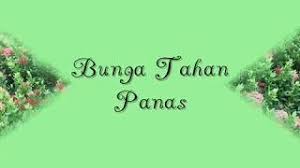 Cara tanam pokok bunga gantung tanamanbaru sumber 1tanamanbaru.blogspot.com. Pokok Bunga Tahan Panas Tropical Flowers By Hadira Kifly