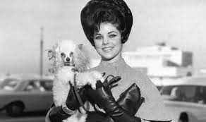 The wilson family household is soon turned upside down as. Elvis Refused Sex With Priscilla For Seven Years Even When She Begged Is This Proof Music Entertainment Express Co Uk