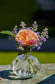 Located in delray beach, fl. Page 3 Royalty Free Vases Glass Photos Pikist