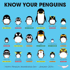 Penguins Chart Penguin Species Penguin Awareness Day