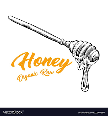 Honey Spoon Sketch with Honey Drop Flow. Hand Drawn Engraved Superfood  Organic Products Design, Vector Isolated Ill… | Wand tattoo, Honey  illustration, Honey spoons