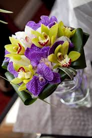 Maybe you would like to learn more about one of these? Green And Purple Orchids Novocom Top