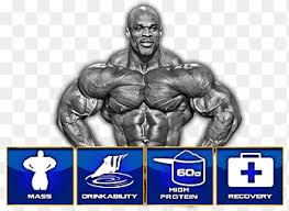 After reading his book, here are six of the things we know better about ronnie coleman. Mr Olympia Bodybuilding Muscle Fitness Pound Strength Training Ronnie Coleman Police Officer Whey Png Pngegg