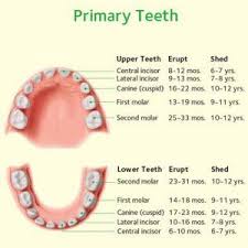 Dentistry For Kids Dentist In Mechanicsville Va