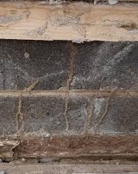 Mr.bugs termite & pest services. Gallery Pest Control Robbinsville Nj All Bugs Aside Mercer County Pest Control