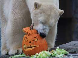 Da geben alle leute was. Halloween Zehn Dinge Die Man Im Herbst In Hannover Zehn Dinge Echt Hannoversch Freizeit Sport Kultur Freizeit