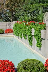 With so many beautiful plants for landscaping available to choose for your garden, how do you actually decide on the right ones? 10 Pointers On Picking Perfect Poolside Plants Pool Pricer