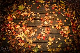Image result for october