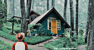 Tempat wisata ciwidey bandung yang berada di jalan raya ciwidey, patengan, tenjolaya, ciwidey, patengan rancabali, bandung. 15 Tempat Wisata Hutan Pinus Di Bandung Yang Cantiknya Kebangetan Aneka Wisata