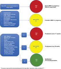Report of the national high blood pressure education program working group on high blood pressure in pregnancy. Scielo Brasil Thromboprophylaxis During The Pregnancy Puerperal Cycle Literature Review Thromboprophylaxis During The Pregnancy Puerperal Cycle Literature Review