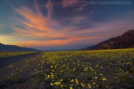 Check spelling or type a new query. Death Valley Is Anything But Dead Dawn2dawn Photography