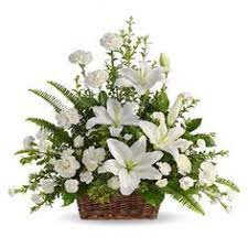 Margherite, papaveri, tulipani e rose per ambientare la primavera sulla vetrina commerciale. Fiori Bianchi