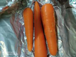 Ingin belajar tanam cili dengan betul? Wanita Ini Kongsi Tips Simpan Sayur Tahan Lama Walaupun Dah Lebih Seminggu Masih Elok Daily Makan