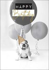 Französische bulldogge bulldogge tiere hunde. Grusskarte Hund Happy Birthday Grusskarten Grusskarten Karten Schilder Freudenbote