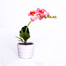 Solar Power 3 Led Orchid Flower Light For Garden Decor Desk Lamppink