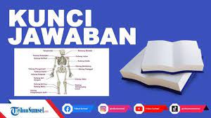 Maybe you would like to learn more about one of these? Ini Fungsi Tulang Pergelangan Kaki Tulang Lengan Tulang Hasta Dan Tulang Pergelangan Tangan Tribun Sumsel