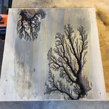 Lichtenberg Fractal Wood Burning Plywood Nature Art Lichtenberg Fractal Patterns