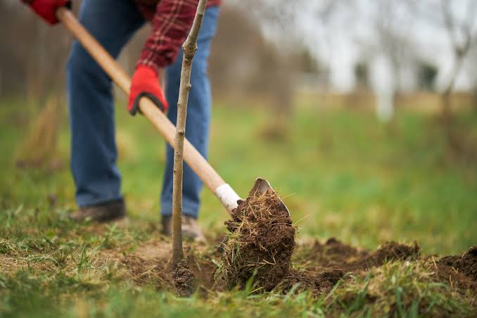 April is National Safe Digging Month: Simple rules to dig safely - High  Plains Journal