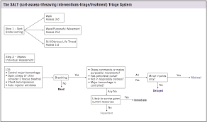 Image result for JumpSTART Triage