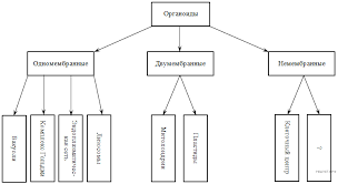 Решу егэ биология 11 класс. Ege 2021 Biologiya Zadaniya Otvety Resheniya Obuchayushaya Sistema Dmitriya Gushina